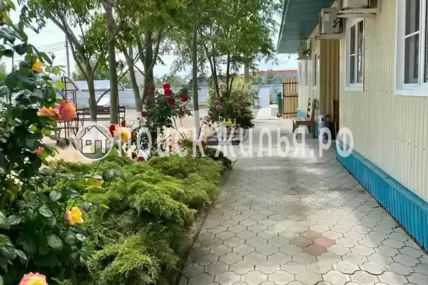 «Атлантик», Голубицкая