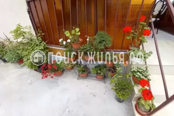 «Маргарита», Лоо