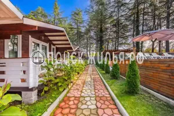 База отдыха «Eco House Pitiunt», Пицунда База отдыха «Eco House Pitiunt», Пицунда