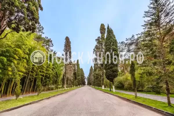 База отдыха «Eco House Pitiunt», Пицунда База отдыха «Eco House Pitiunt», Пицунда