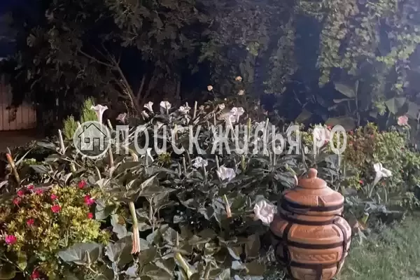 Гостевой дом «Белая Дача», Благовещенская