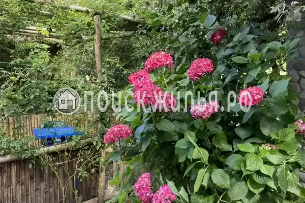 Гостевой дом «Райский Сад», Лдзаа Гостевой дом «Райский Сад», Лдзаа