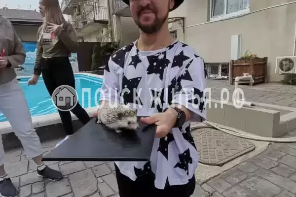 «Китёнок», Витязево «Китёнок», Витязево