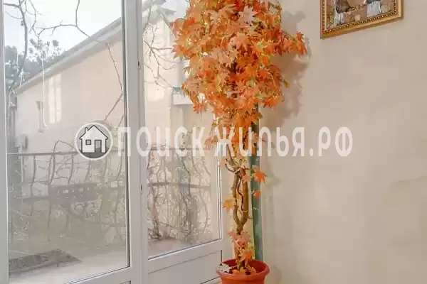 «Ника», Геленджик