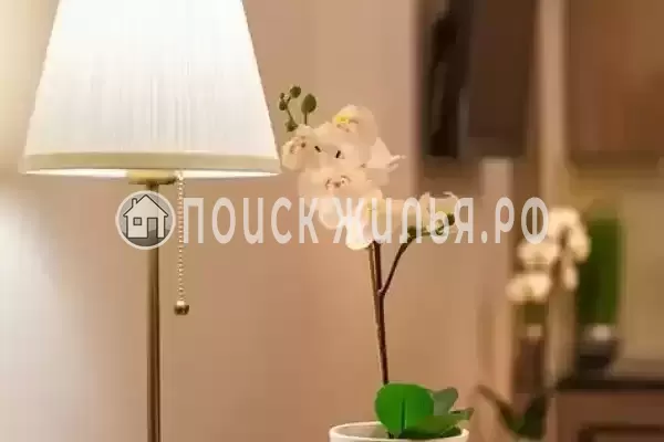 «Амадей», Санкт-Петербург «Амадей», Санкт-Петербург