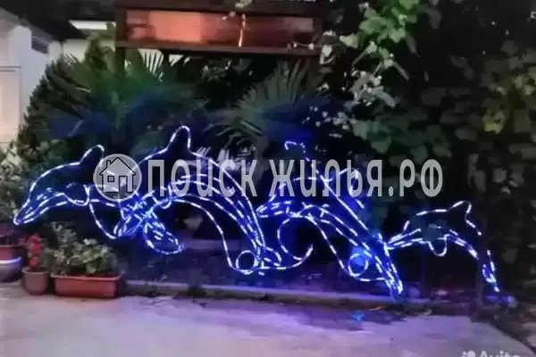 «Тропиканка», Лоо