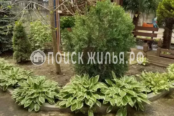 «Тропиканка», Лоо