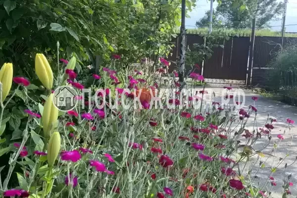 Частный сектор «Частный дом Traum», Цандрипш Частный сектор «Частный дом Traum», Цандрипш