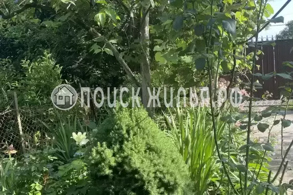 Частный сектор «Частный дом Traum», Цандрипш Частный сектор «Частный дом Traum», Цандрипш