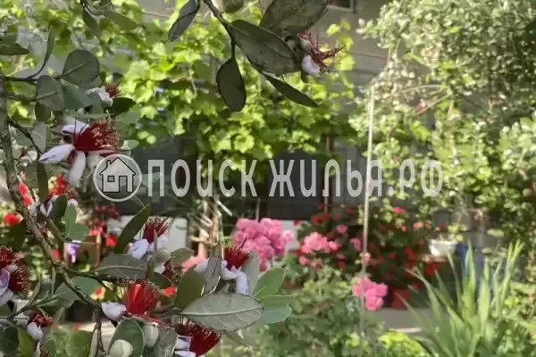 Частный сектор «Частный дом Traum», Цандрипш Частный сектор «Частный дом Traum», Цандрипш