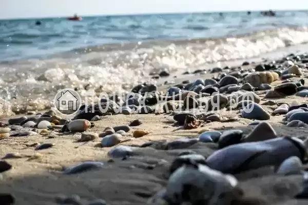 Частный сектор «Альбатрос», Сочи