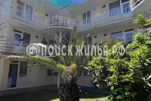 «Дива», Адлер