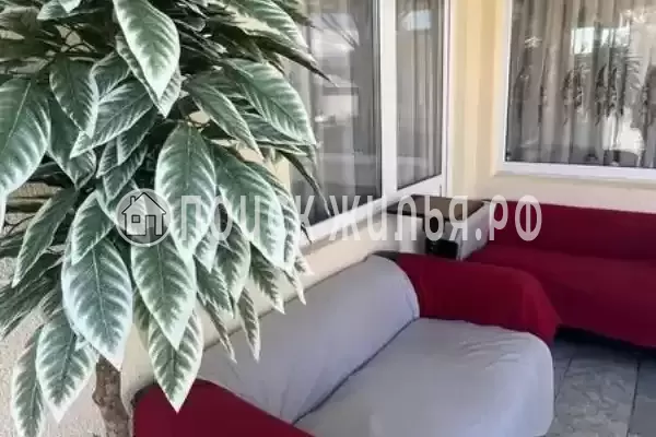 «Дива», Адлер