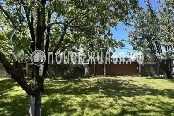 «Дива», Адлер