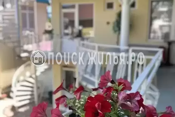 «Дива», Адлер