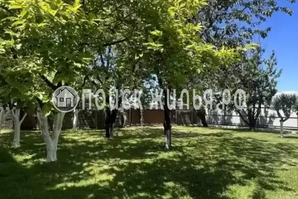 «Дива», Адлер