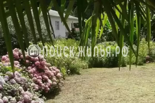 Гостевой дом «Место под солнцем», Пицунда