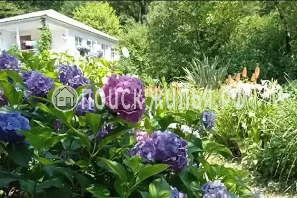 Гостевой дом «Место под солнцем», Пицунда