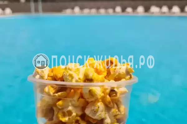 «Brass Family», Анапа