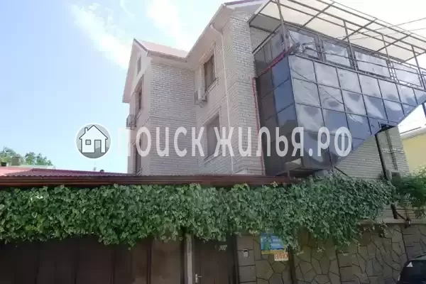 «Виноградная лоза»