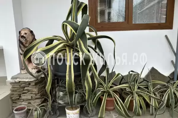 «Анита», Якорная Щель