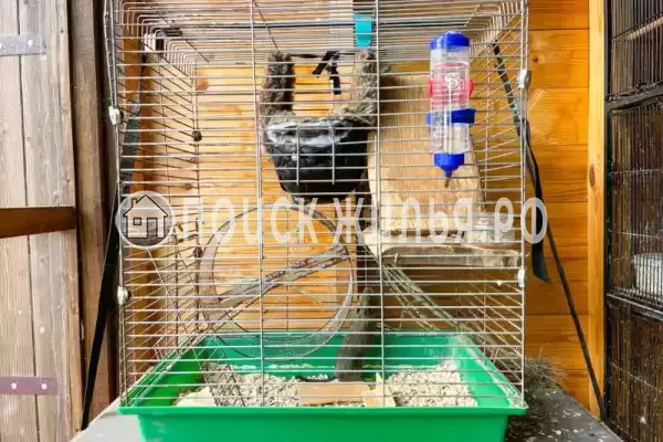 «Волшебная лампа», Евпатория