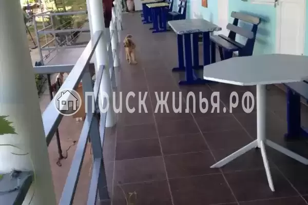 «Подсолнух», Вардане