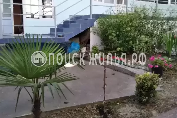 «Подсолнух», Вардане