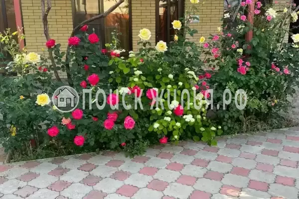 «Афина», Витязево «Афина», Витязево