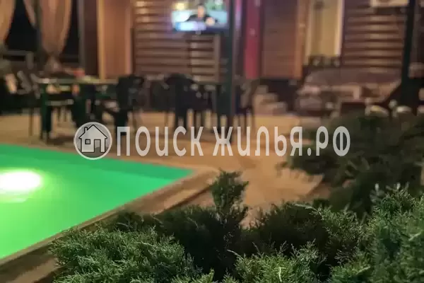 «Сын Апельсин», Шепси «Сын Апельсин», Шепси