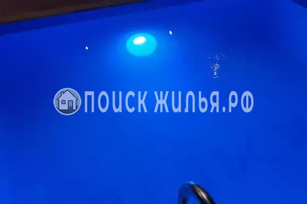 «Сын Апельсин», Шепси «Сын Апельсин», Шепси