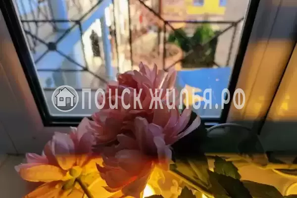 «Парфена», Витязево