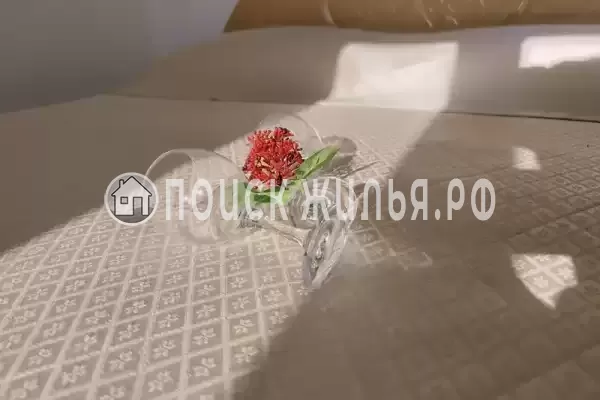 «Парфена», Витязево