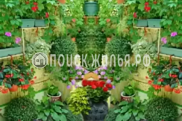 «У Эммы», Лазаревское