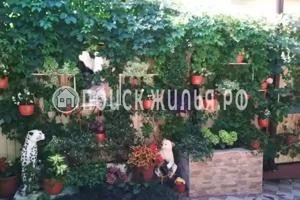 «У Эммы», Лазаревское