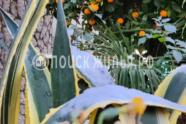 Гостевой дом «Таруса», Новый Афон