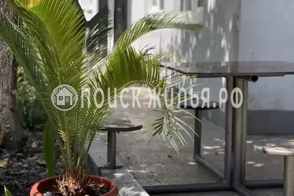 Гостевой дом «Маргарита», Гагра