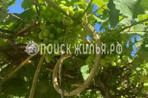 «Салют#Вера», Анапа «Салют#Вера», Анапа