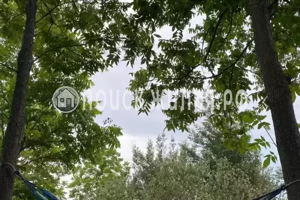 Гостевой дом «Sea Miya», Пицунда Гостевой дом «Sea Miya», Пицунда