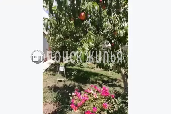 «Семейный», Евпатория «Семейный», Евпатория