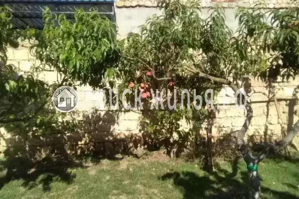 «Семейный», Евпатория «Семейный», Евпатория