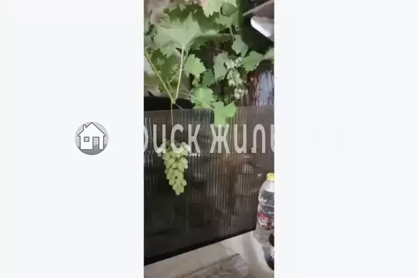 «Семейный», Евпатория «Семейный», Евпатория