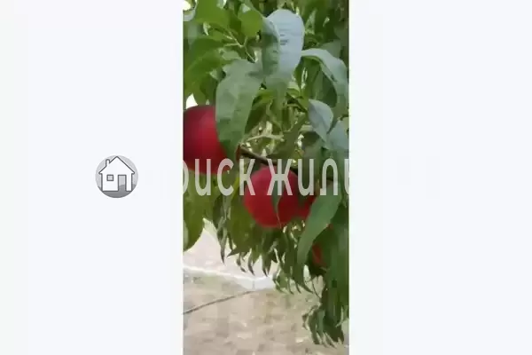 «Семейный», Евпатория «Семейный», Евпатория