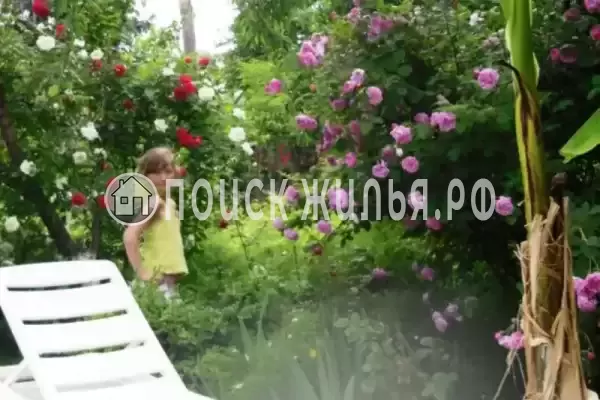 Частный сектор «Семейный», Головинка