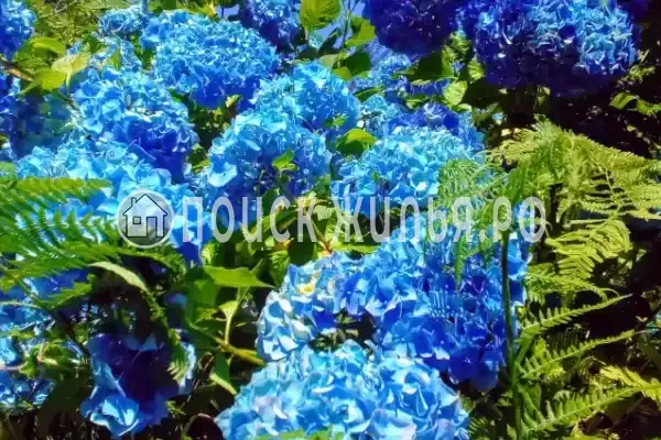 Частный сектор «Семейный», Головинка