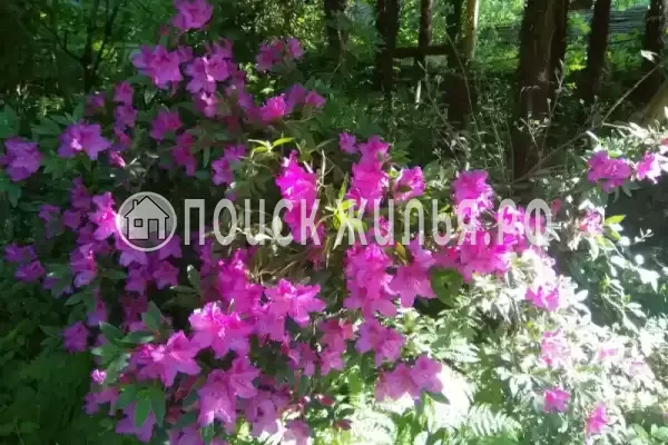 Частный сектор «Семейный», Головинка