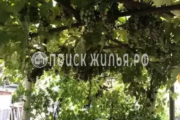 Частный сектор «Комплекс бунгало Быть добру», Ильич Частный сектор «Комплекс бунгало Быть добру», Ильич