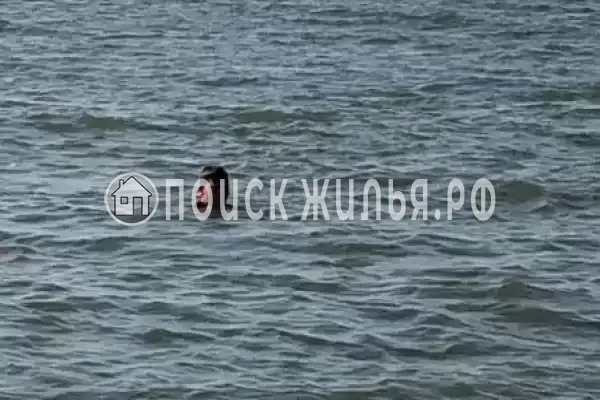 Частный сектор «Комплекс бунгало Быть добру», Ильич Частный сектор «Комплекс бунгало Быть добру», Ильич