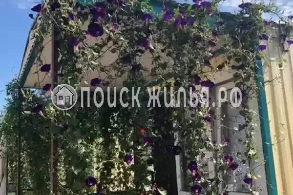 Частный сектор «Комплекс бунгало Быть добру», Ильич Частный сектор «Комплекс бунгало Быть добру», Ильич