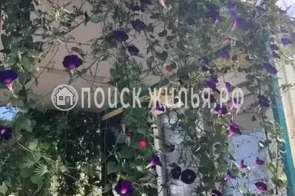 Частный сектор «Комплекс бунгало Быть добру», Ильич Частный сектор «Комплекс бунгало Быть добру», Ильич